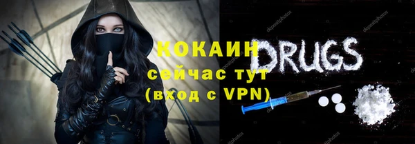 крисы Баксан