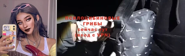 ALPHA PVP Рославль