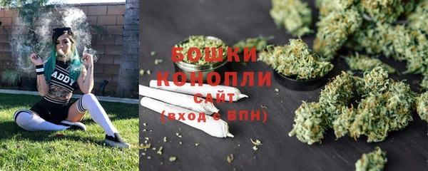 ALPHA PVP Рославль