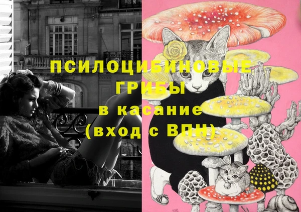 крисы Баксан