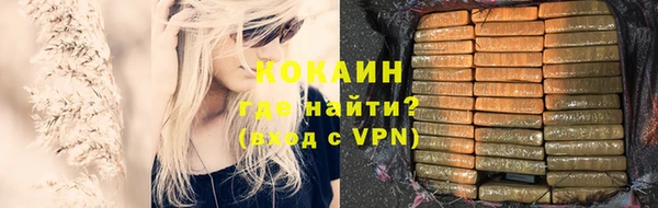 прущие грибы Россошь