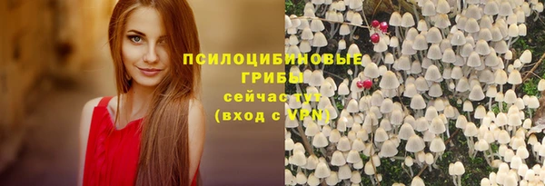 крисы Баксан