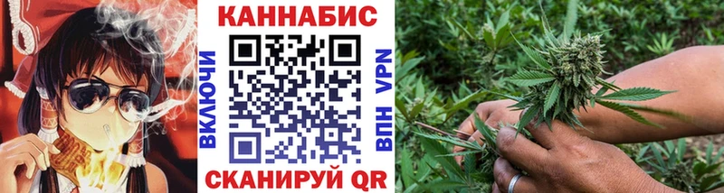 где продают Закаменск дарк нет как зайти Бошки марихуана гибрид